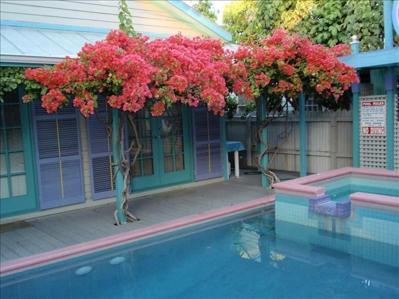 Key West FL Vacation Rentals, Florida Keys Florida Vacation Rentals, Florida Keys Vacation Rentals, Florida Keys FL Vacation Homes, Key West FL Vacation Home Rentals, Key Largo FL Vacation Rentals