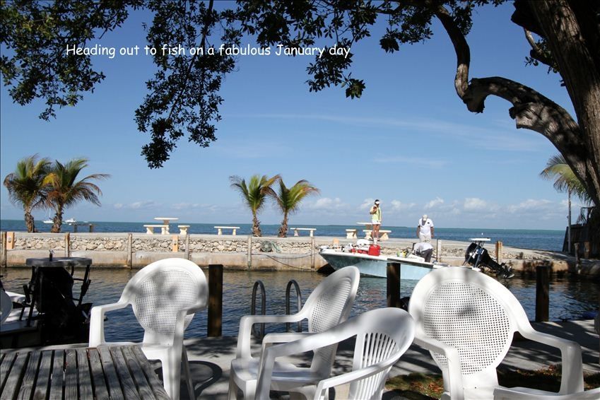 Florida Keys Florida Vacation Rentals, Florida Keys Vacation Rentals, Florida Keys FL Vacation Homes, Key West FL Vacation Home Rentals, Key Largo FL Vacation Rentals